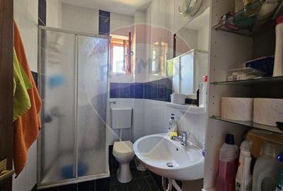 Casa / Vila cu 6 camere de vanzare - CORNU - 43