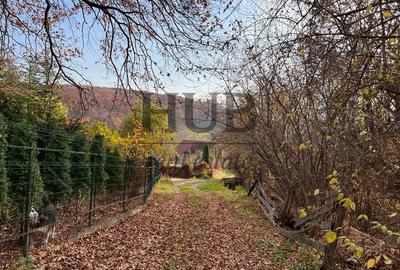 Teren Construcții extravilan de 1095 mp, în Podiș - 5