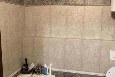 De inchiriat apartament 1 camera in zona Dambovita - 2