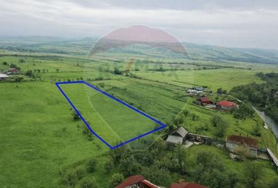 Teren Construcții intravilan de 6956 mp, în Brăișoru - 2