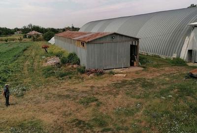 Teren în Ciochina - 1