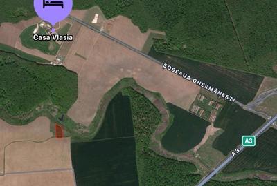 Teren extravilan de vanzare | Snagov - 2