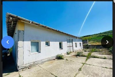 Spațiu comercial, de 300 mp, în Uricani - 8