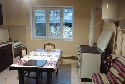 Casă individuală cu 3 camere cu Canalizare în Pojejena - 8