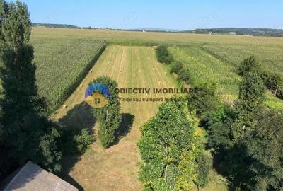 Casă cu 2 camere cu Teren 4500 Mp în Mastacăn (Dragomirești) - 8