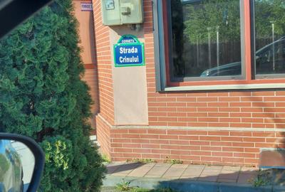 Teren în Cornetu - 12