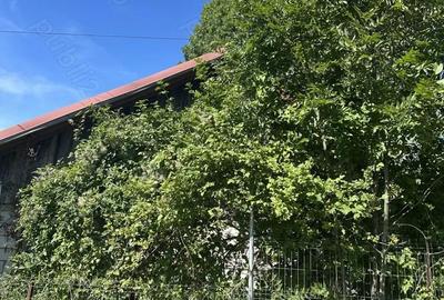 Casă cu 5 camere cu Teren 1939 Mp în Talea - 4