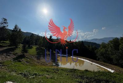 18000 mp de natura pura ,Lupeni, langa Straja - 19