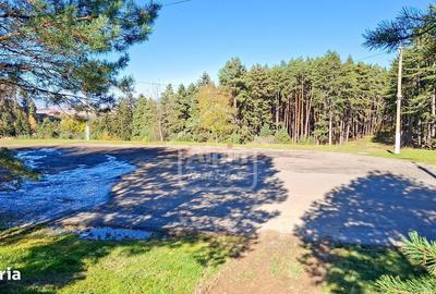 Spațiu comercial, în Poiana Angelescu - 4