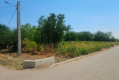 Teren Construcții intravilan de 2600 mp, în Drăgoești - 4