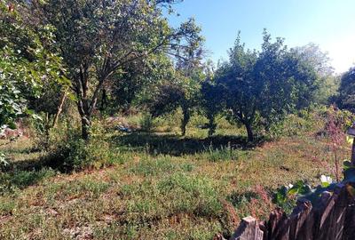 Casă cu 4 camere în Bărcănești - 2