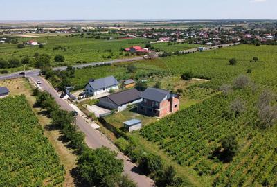 Casa sau Spatiu Dumbraveni langa DN E85 - 6