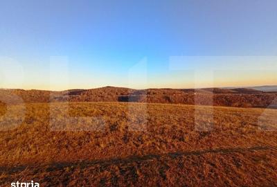 Teren de 8600 mp, în Ciurila - 3
