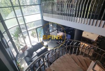 Casă individuală cu 8 camere cu Canalizare în Colentina - 2