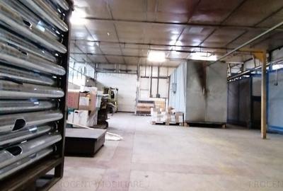 Hala Industriala - 3