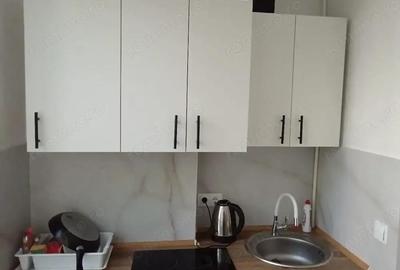 Apartament cu o camera de inchiriat in zona Aurel Vlaicu - 4