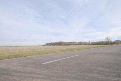 Teren de 270000 mp, în Gherghița - 8