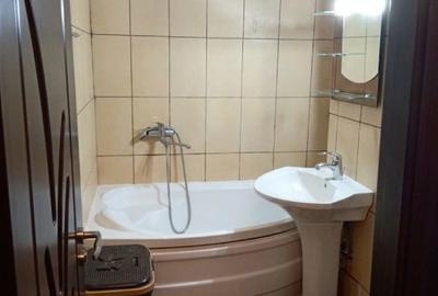 Apartament cu 2 camere semidecomandat, mobilat în Craiovița Nouă - 3
