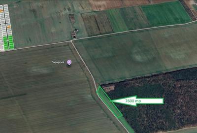 Spațiu comercial, în Frumușani - 2