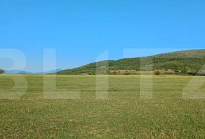 Teren de 3801 mp, în Unirea - 1