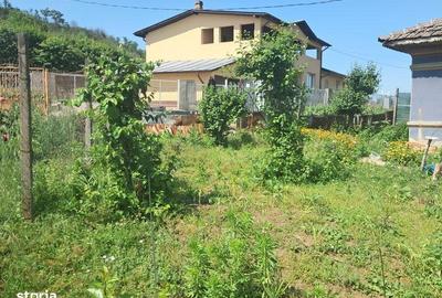 Casă cu 3 camere cu Teren 2000 Mp în Hotarele - 5