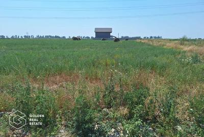 Teren pentru constructie duplex sau casa individuala, 840 mp, Chisoda - 2