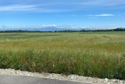 Teren in Galicea, ideal pentru casa sau afacere - 6