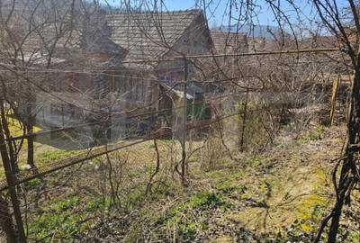 Casă cu 4 camere cu Teren 3800 Mp în Măgina - 9