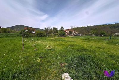 Teren Construcții intravilan de 550 mp, în Sibiel - 6