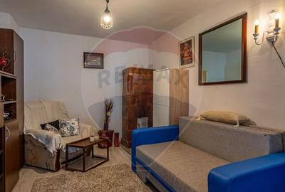 Casa de vanzare Sinca Noua/ Priveliste de vis/ De vanzare! - 24