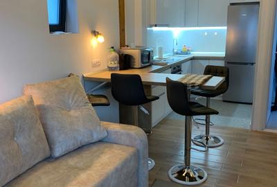 Apartament cu 2 camere decomandat în Ultracentral - 7