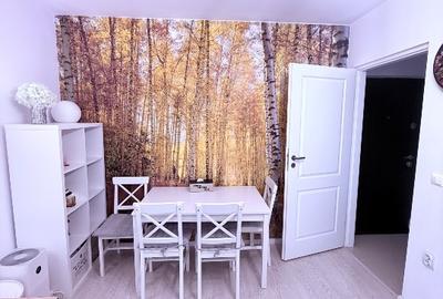 Apartament cu 2 camere decomandat, mobilat în Păcurari - 2