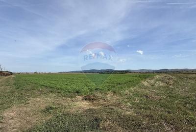 Teren Investitii 1.1 ha |  Bontida-Halta Rascruci - 1