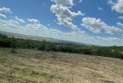 Teren Construcții intravilan de 1675 mp, în Podgoria