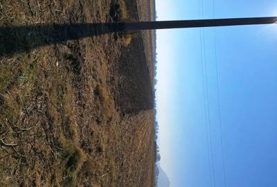 Teren de 4000 mp, în Șoimuș - 3