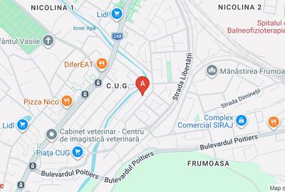 Apartament cu 3 camere decomandat în Nicolina - 10