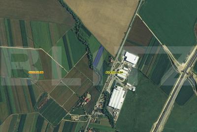 Teren de 3000 mp, în Galda de Jos - 2