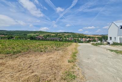 Teren Intravilan 1846 mp Casa | Duplex - 2