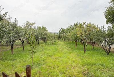 Casă cu Teren 1591 Mp în Betfia - 4