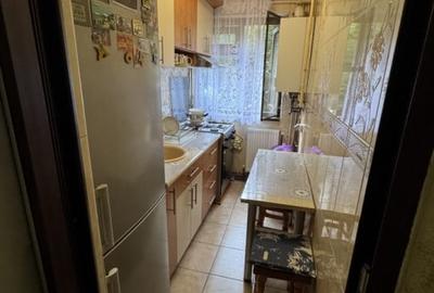 Apartament 2 camere, cf 2, parter, Malu Rosu - 9
