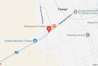 Teren Construcții intravilan de 2647 mp, în Tamași - 1