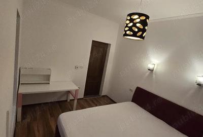 Apartament cu 2 camere semidecomandat în Dumbrăvița - 2