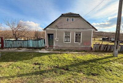 Teren în Timișoara