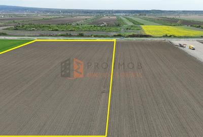 Teren Construcții intravilan de 12628 mp, în Vernești - 4