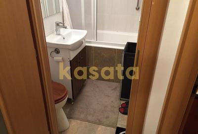 Apartament 2 camere de inchiriat Domenii Kiseleff - 8