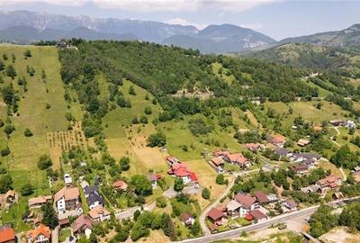 FILM!View superb catre munti,teren pretabil constructie Hotel,4.400 mp, Moieciu - 36