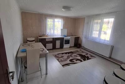 Casa 3 camere +teren in com Bune?ti sat Teiusu judetul Valcea, - 4