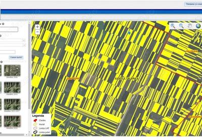 12 Ha Teren Agricol Vlad Tepes CL - 1
