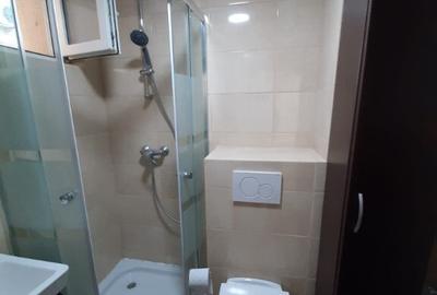 Apartament cu 2 camere semidecomandat în Podu Roș - 4