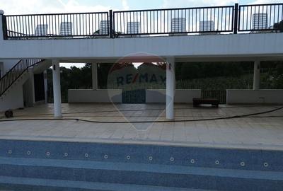 DE VANZARE Pensiune cu piscina, pastravarie, zona spa locatie de vis - 9